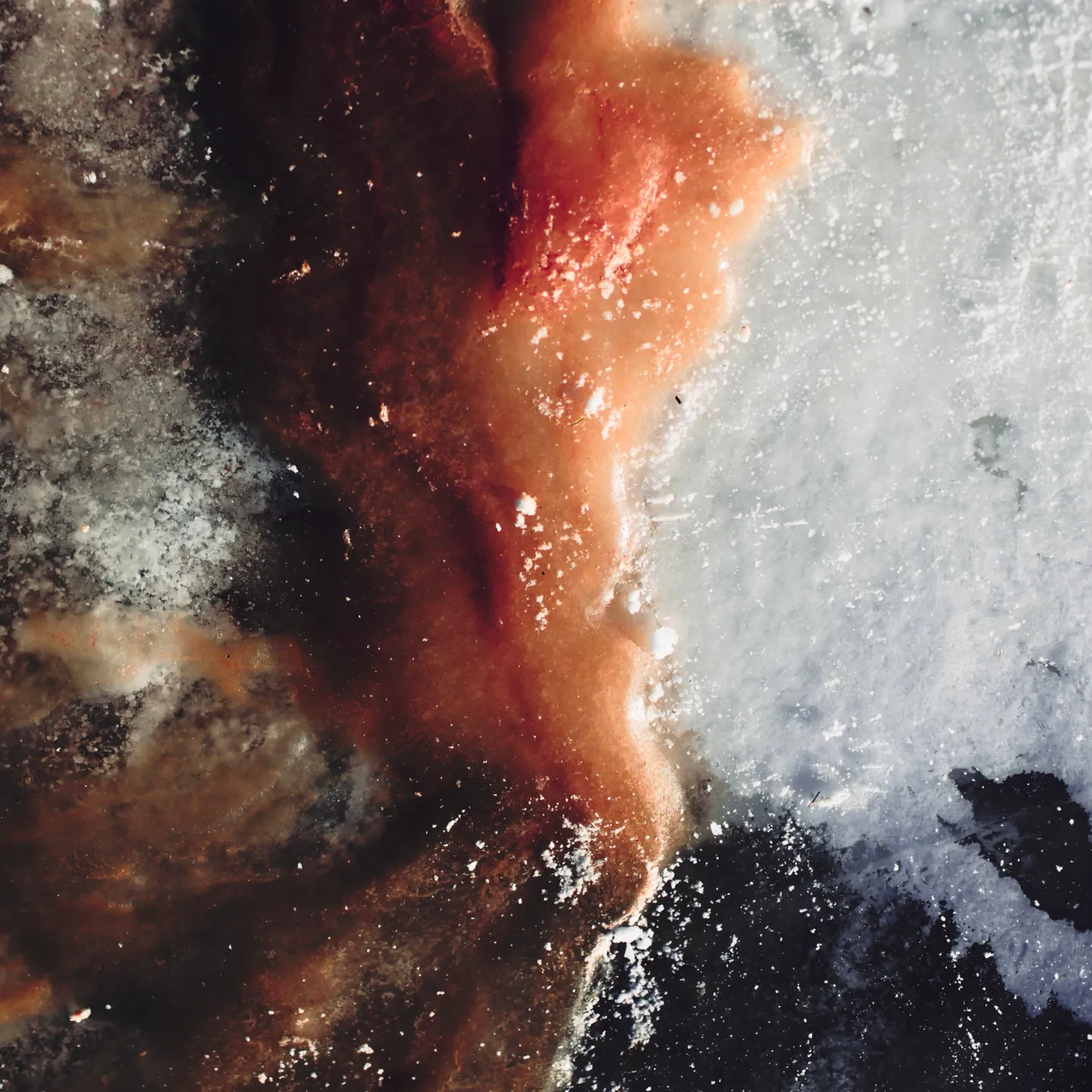 Abstract Visions — photograph 1