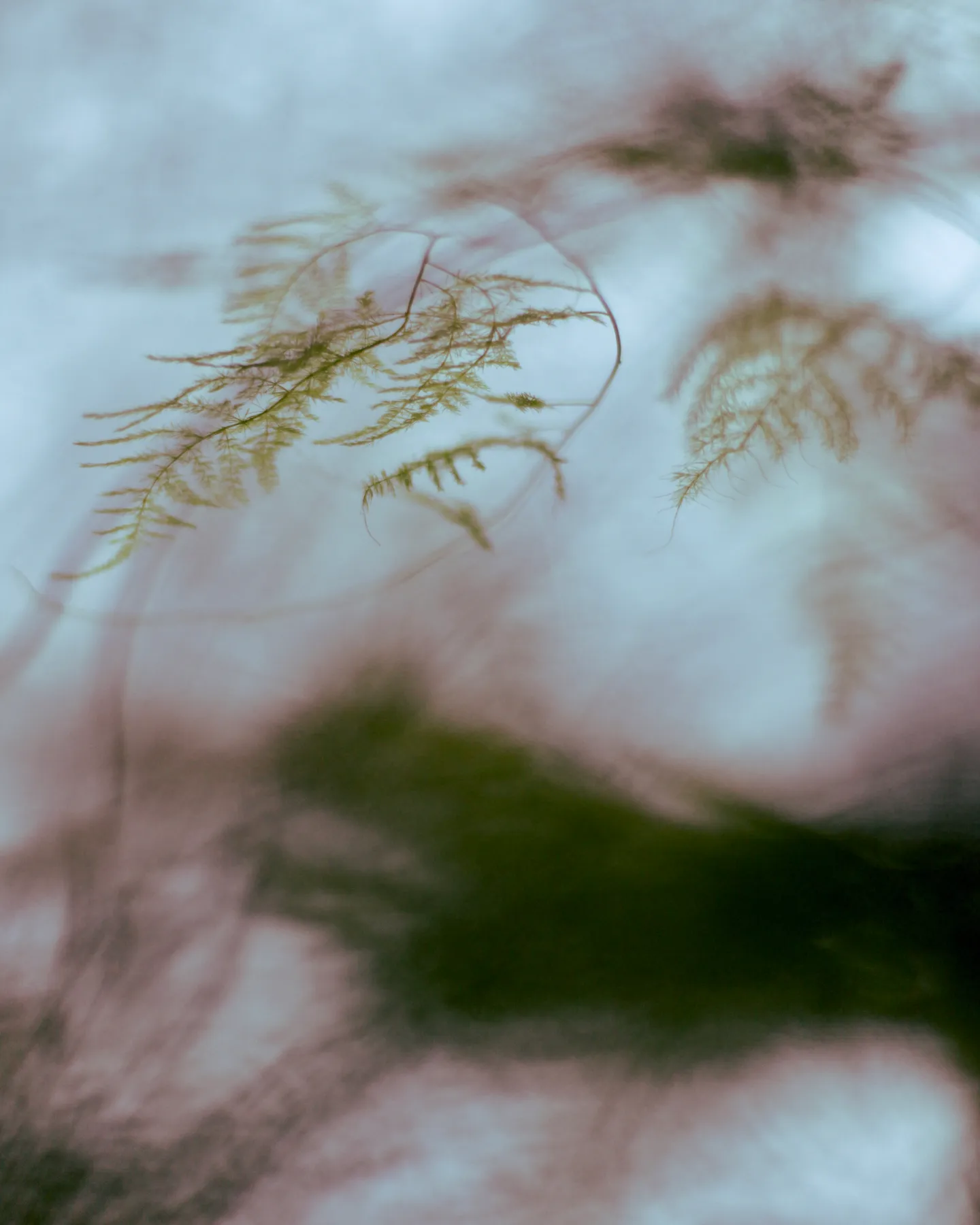 Abstract Visions — photograph 2