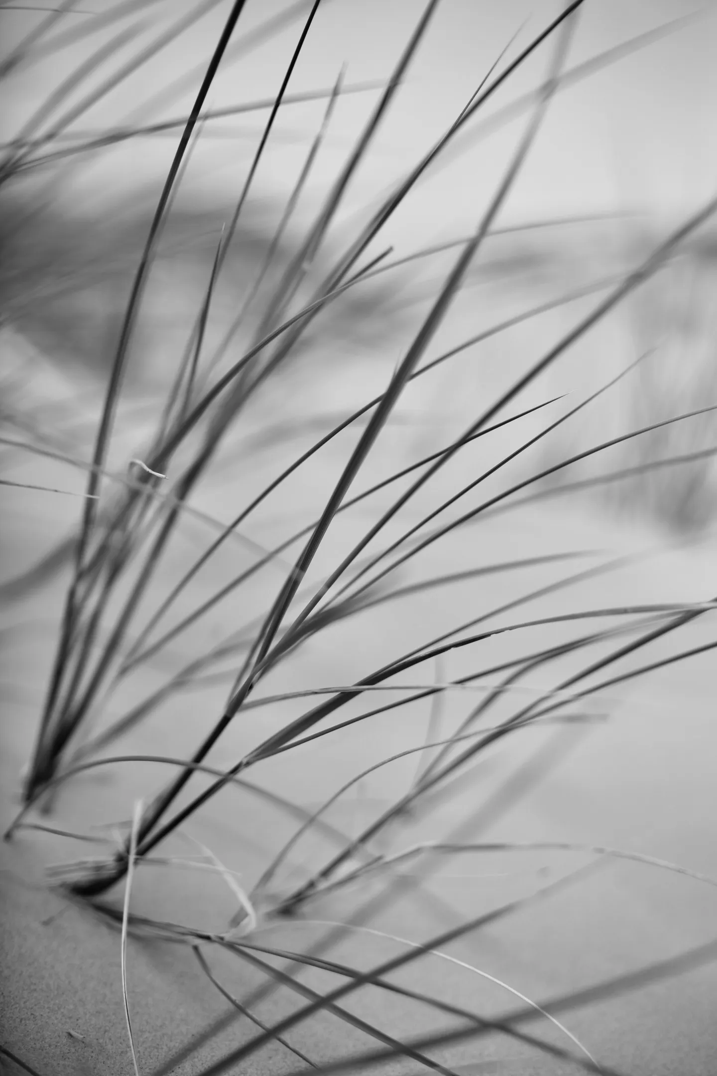 Abstract Visions — photograph 4