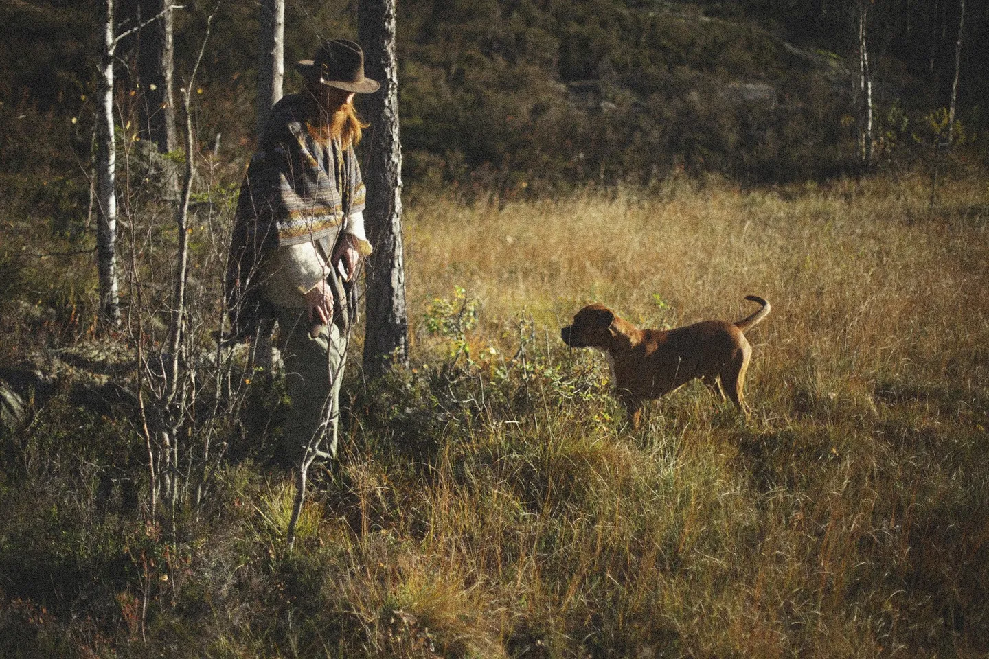 Travels — photograph 7
